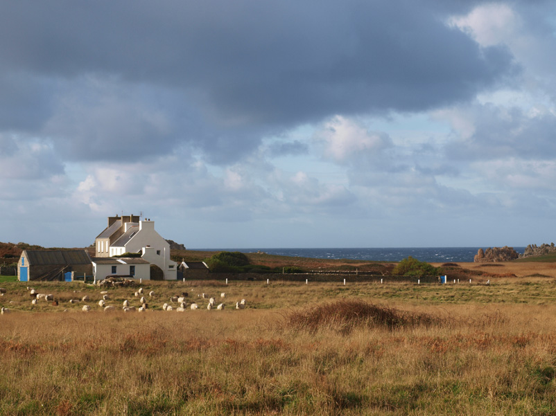 NAVIGATION EN TERRITOIRE INDÉFINI ET PENSÉES INSULAIRES